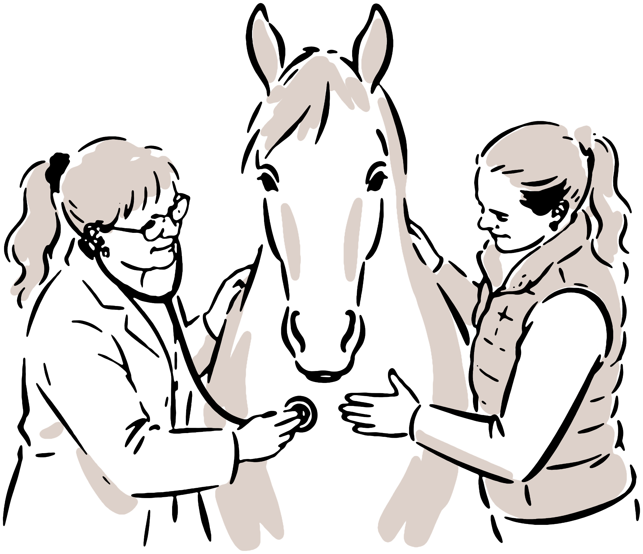 Illustration zur Pferdemedizin bei Tierarzt Höppner